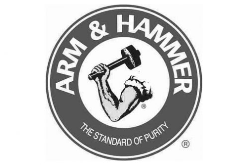 ARM AND HAMMER